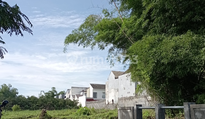 Dijual Tanah Landungsari Malang, Cocok untuk Hunian Masa Depan