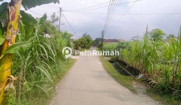 Jual Murah Tanah Kavling Dekat Kampus Usu