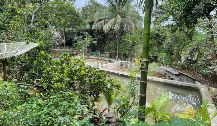 Dijual Cepat Rumah Hoki Di Daerah Sukabumi  2