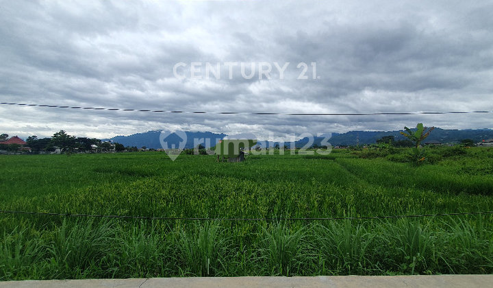 Potential Land Premium Location Soreang Roadside Potential Land Premium Location Soreang Roadside