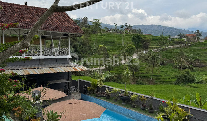 Termurah !! Rumah  Villa Cantik Dan Luas