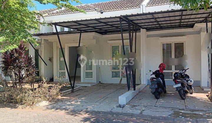 Disewakan Rumah Tanjung Bunga Amarilis 3kt Siap Huni 1