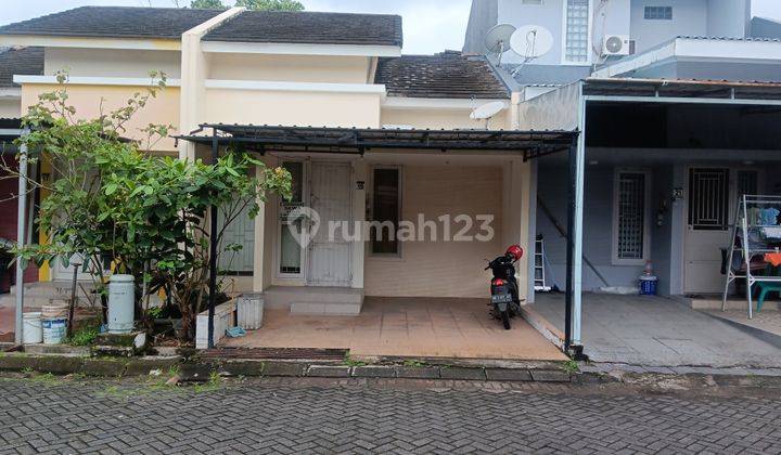 Di Sewakan Rumah 1 Lt Tanjung Bunga  2