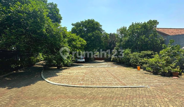 Cocok Utk Kost Turun Harga Terbaik dan Termurah Rumah Luas Dkt Kampus Ui Pancasila Gunadarma Strategis Cocok Utk Kost Turun Harga Terbaik dan Termurah Rumah Luas Dkt Kampus Ui Pancasila Gunadarma Strategis