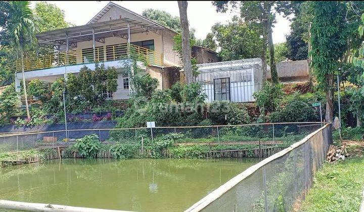 Rumah Sekaligus Kolam Ikan 1