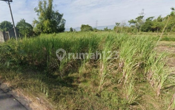 Tanah di Probolinggo Desa Sumber Kare Depan Kantor Kelurahan - 2,7 km dari Stasiun Bus Probolinggo