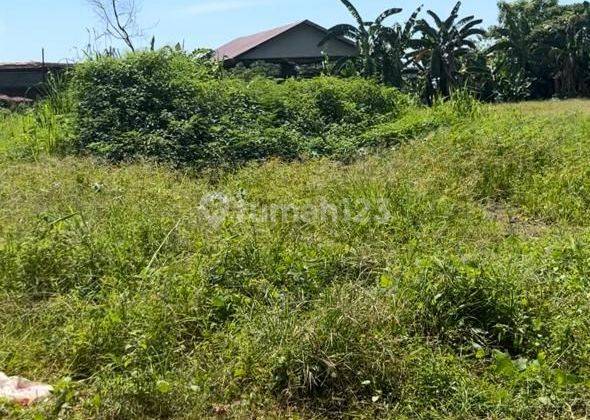 Jual Tanah Sawah 2 Ha Di Galesong  1