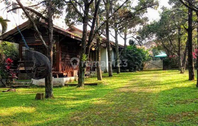 Disewakan Ruang Usaha Outdoor Lokasi Strategis Di Sayap Dago, Bandung 1