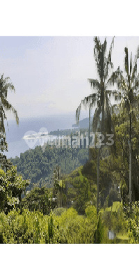 For Sale Premium Land at the Peak of Batu Layar Hill, West Lombok For Sale Premium Land at the Peak of Batu Layar Hill, West Lombok