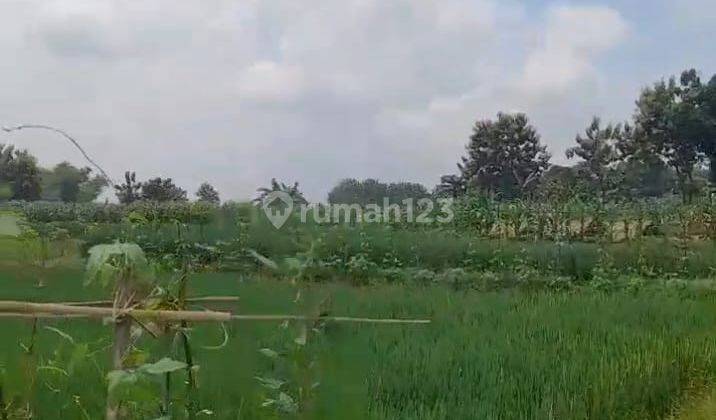 Tanah Strategis pinggir Jl.Raya Purwosari - Padangan, Bojonegoro 1