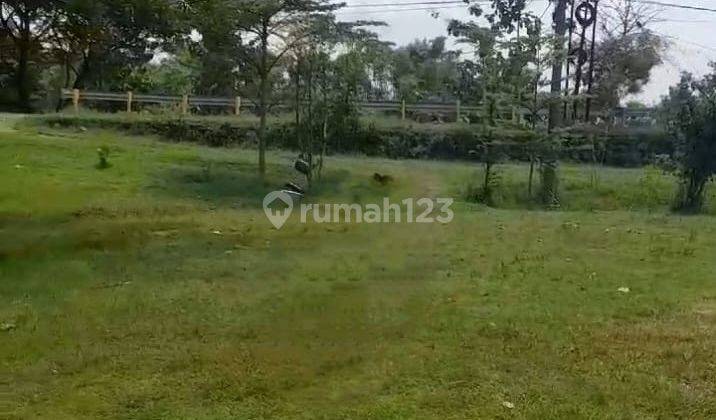 Tanah Strategis pinggir Jl.Raya Purwosari - Padangan, Bojonegoro 2