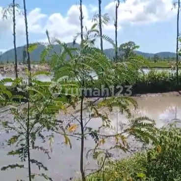 Dijual Tanah Bypass Tandek, Lombok Tengah–Lokasi Strategis  1