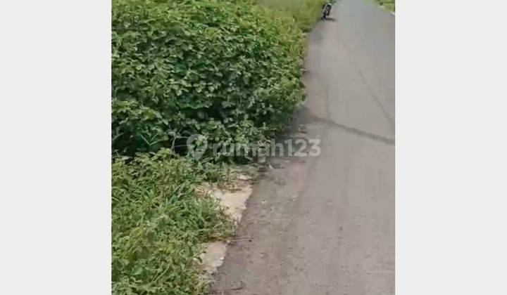 DIJUAL TANAH STRATEGIS, Jl. Pengkok Nguken, Padangan Bojonegoro 2