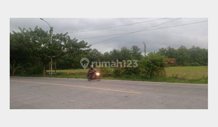 Dijual Tanah u. investasi  Strategis Jl. Raya Padangan-Bojonegoro 1