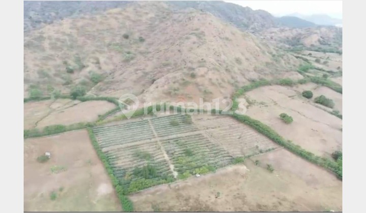 FOR SALE PREMIUM LAND LOCATION IN TUA NANGKA – SUMBAWA FOR SALE PREMIUM LAND LOCATION IN TUA NANGKA – SUMBAWA