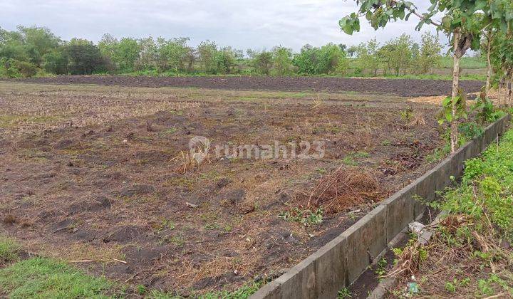 DIJUAL Tanah Strategis di Ds Katur, Gayam,Bojonegoro - Jawa Timur 1