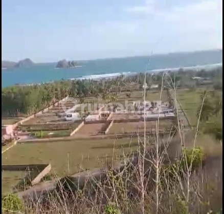 JUAL Tanah datar dekat pantai di Selong Belanak, Lombok Tengah 2