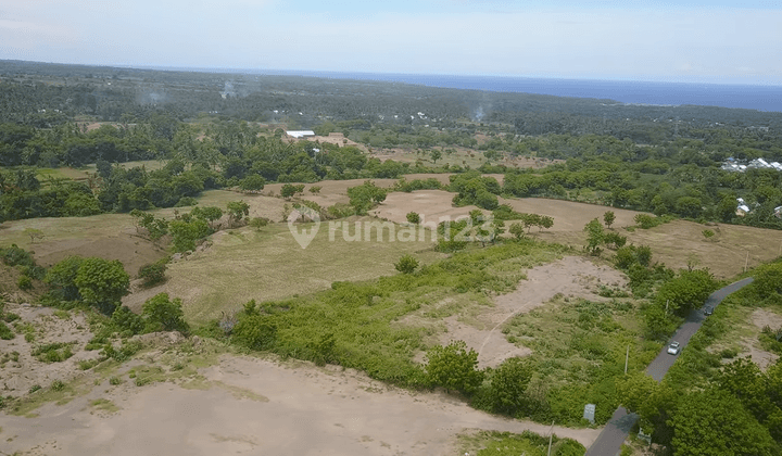 Tanah 2 Km Dari Laut Potensial Untuk Pengembangan 2