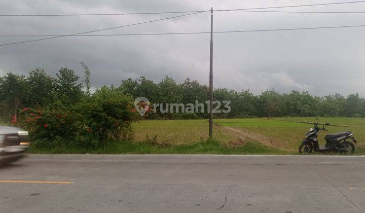Dijual Tanah u. investasi  Strategis Jl. Raya Padangan-Bojonegoro 2