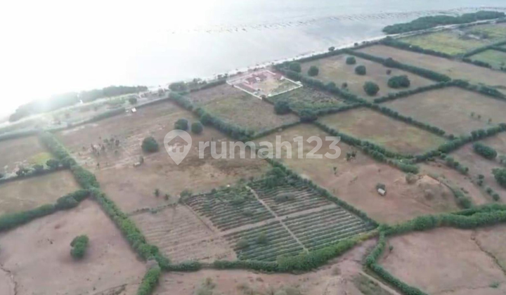 FOR SALE PREMIUM LAND LOCATION IN TUA NANGKA – SUMBAWA FOR SALE PREMIUM LAND LOCATION IN TUA NANGKA – SUMBAWA