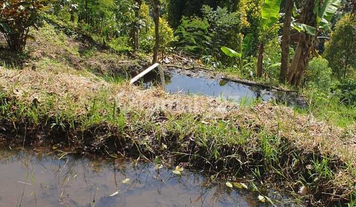 Dijual Tanah daerah Munduk 1