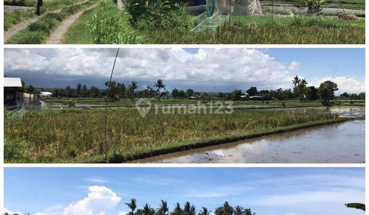 Land for sale in Bungkulan District, Buleleng 1