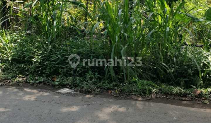 Dijual Tanah daerah Munduk 2