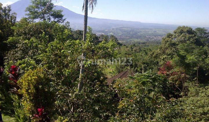 Dijual Tanah 1 Hektar Sertifikat SHM Dekat Danau Lido Bogor 2