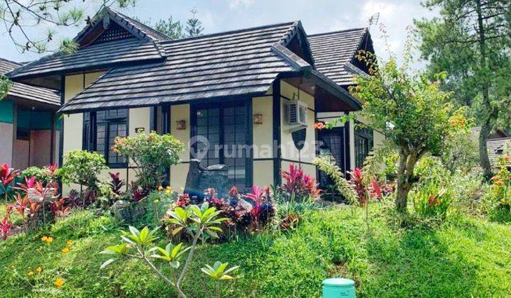 Rumah Full Furnish Bagus Di Villa Tokyo, Kota Bunga 2