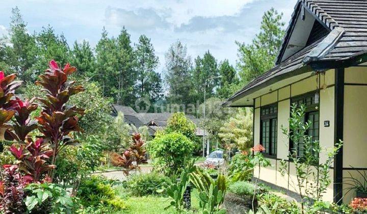 Rumah Full Furnish Di Villa Osaka, Kota Bunga Puncak 2