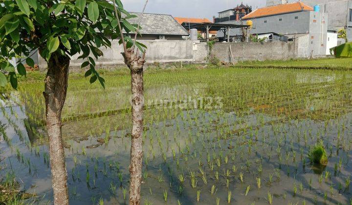 Disewakan Tanah Di Tukad Badung 2