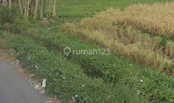 Land 11.4 Are Strategic Location For Sale, Kerobokan Area 2