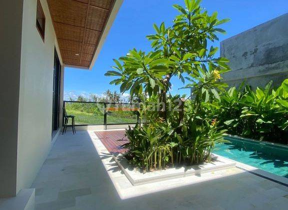 Luxury Villa For Rent, Pererenan Area 2