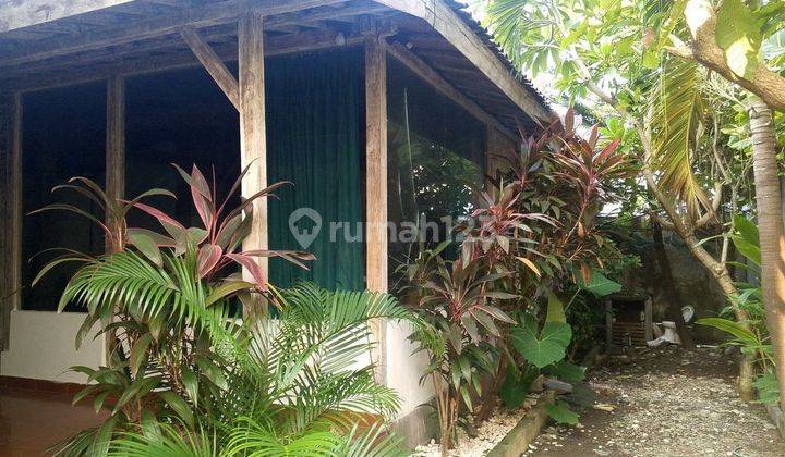 Rumah Joglo 1 Lantai Disewakan, Area Seminyak 2