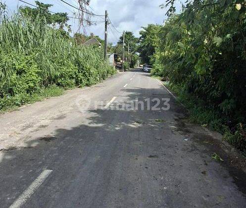 Tanah 6.8 Are Lokasi Strategis Disewakan, Area Seminyak 2