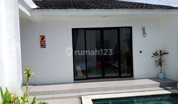 Villa 1 Lantai Tipe Minimalis Disewakan, Area Canggu 1