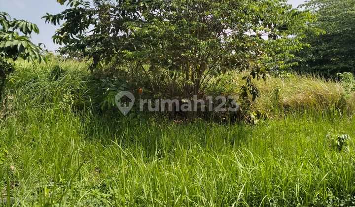 Tanah 293 m2 HGB Lippo Cikarang, Cikarang simpruk siap bangun