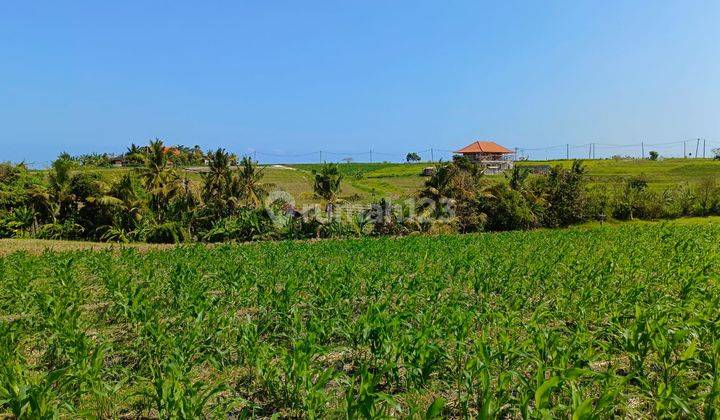 Sell Cheap Land Near Beach In Tabanan Bali. 2