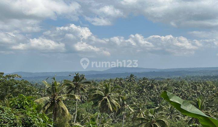 Tanah Kebun View Lembah Dan Sawah Di Tabanan Bali. 1