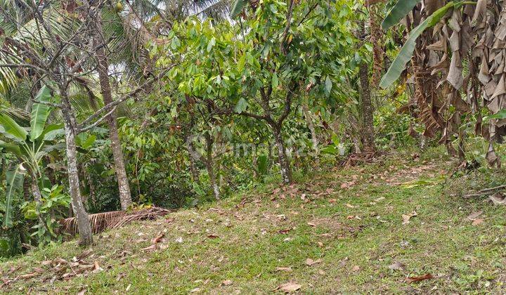 Tanah Kebun Luas Kecil Sudah Isi Bangunan Joglo Mini Di Tabanan 2