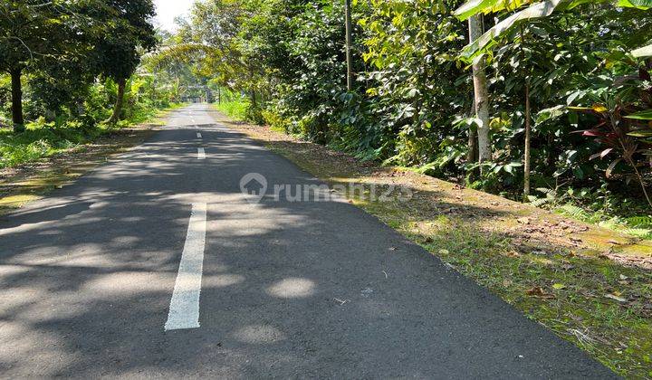 Tanah Kebun View Lembah Dan Sawah Di Tabanan Bali. 2