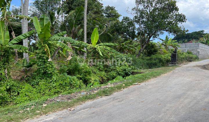 Tanah Kebun Luas Kecil Murah Di Tabanan Bali. 2