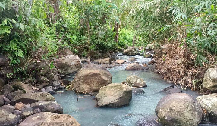 Dijual Tanah View Sawah Terasering Dan Los Sungai Di Tabanan Bali 1