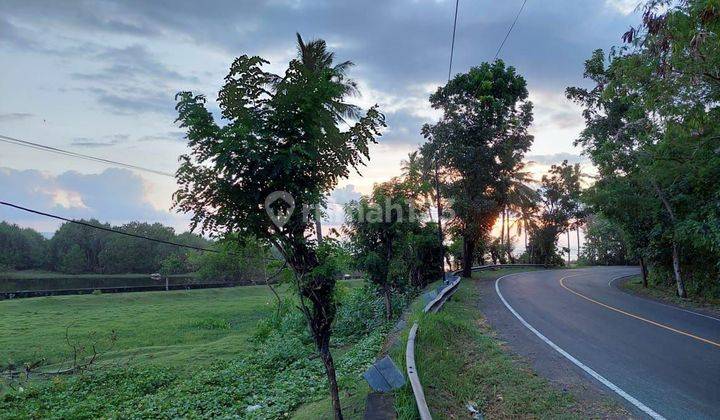 Tanah Kebun Dekat Pantai Berbatasan Dengan Jalan Utama Di Tabanan Bali 2