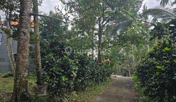 Tanah Kebun Dekat Air Terjun Cocok Untuk Vila. 2