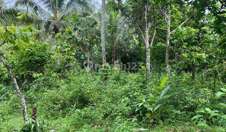 Jual Tanah Kebun Dekat Pantai Harga Termurah Di Tabanan Bali. 2