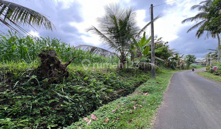 Tanah View Gunung Los Sungai Murah Di Tabanan Bali. 1