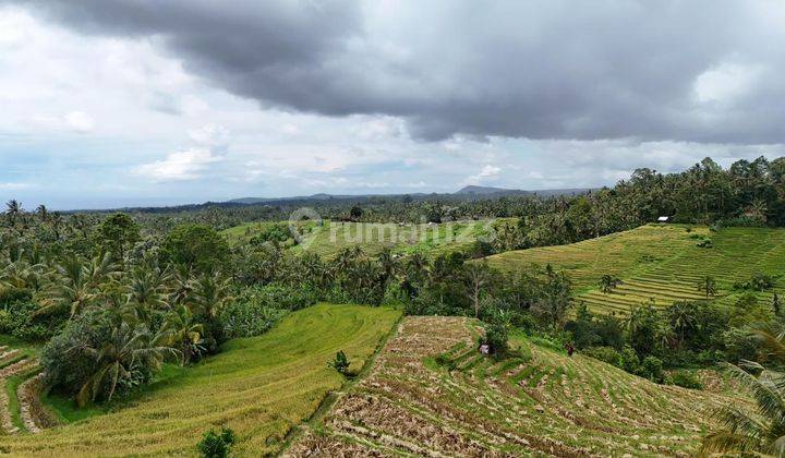 Tanah Kebun Luas Kecil View Sawah Terasering Di Tabanan Bali 1