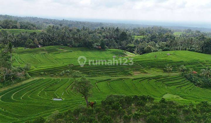 Dijual Tanah Kebun Dan Sawah Murah Dengan View Indah Tabanan Bali 1