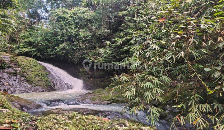 Tanah Kebun Los Sungai View Air Terjun Indah Di Tabanan Bali 1